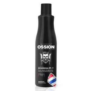 SHAMPOO 2IN1 HAIR AND BEARD